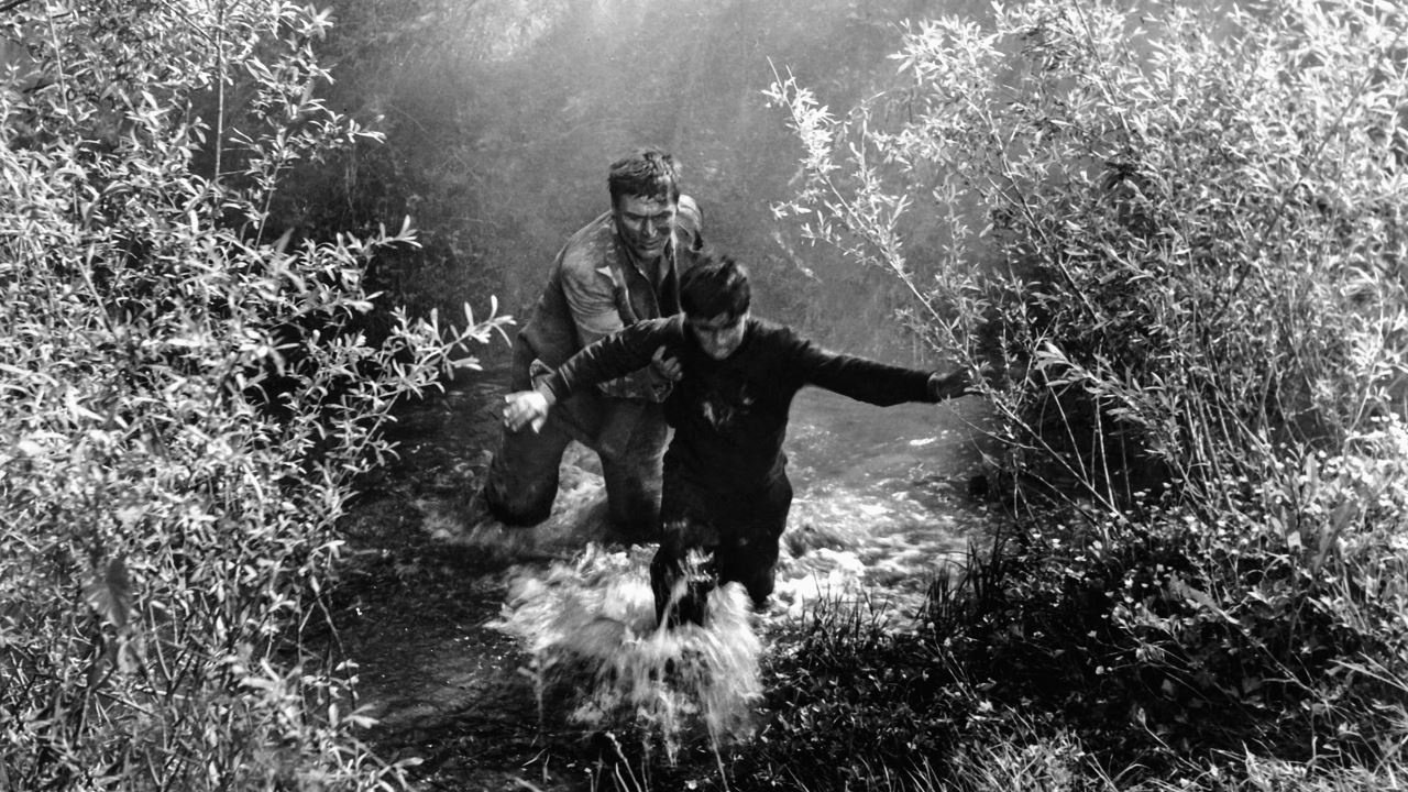 Don't Look Back, My Son (1956)