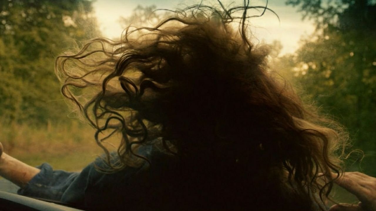 These Wild Things (2016)