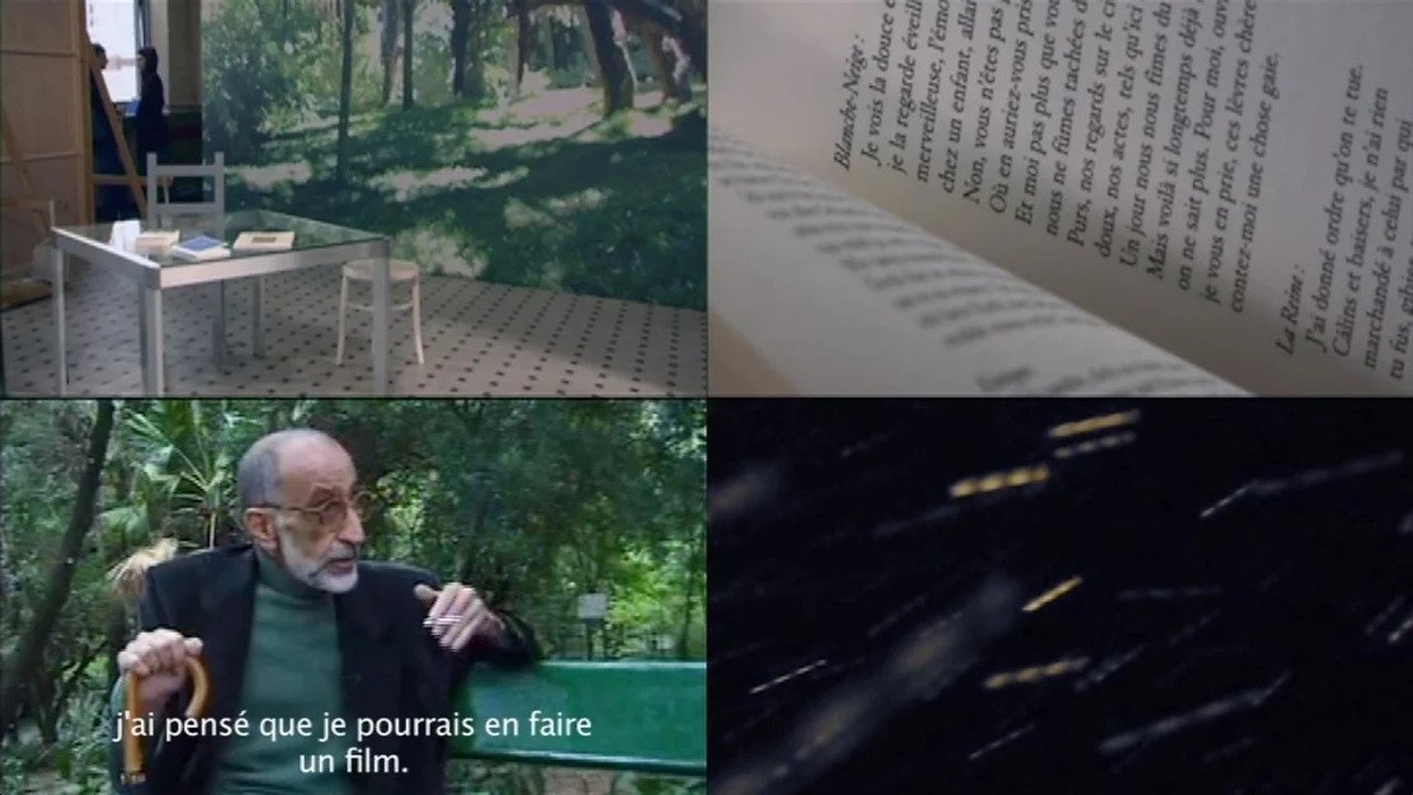 D’après Blanche-Neige (traces d’un film de Joào César Monteiro) (2010)