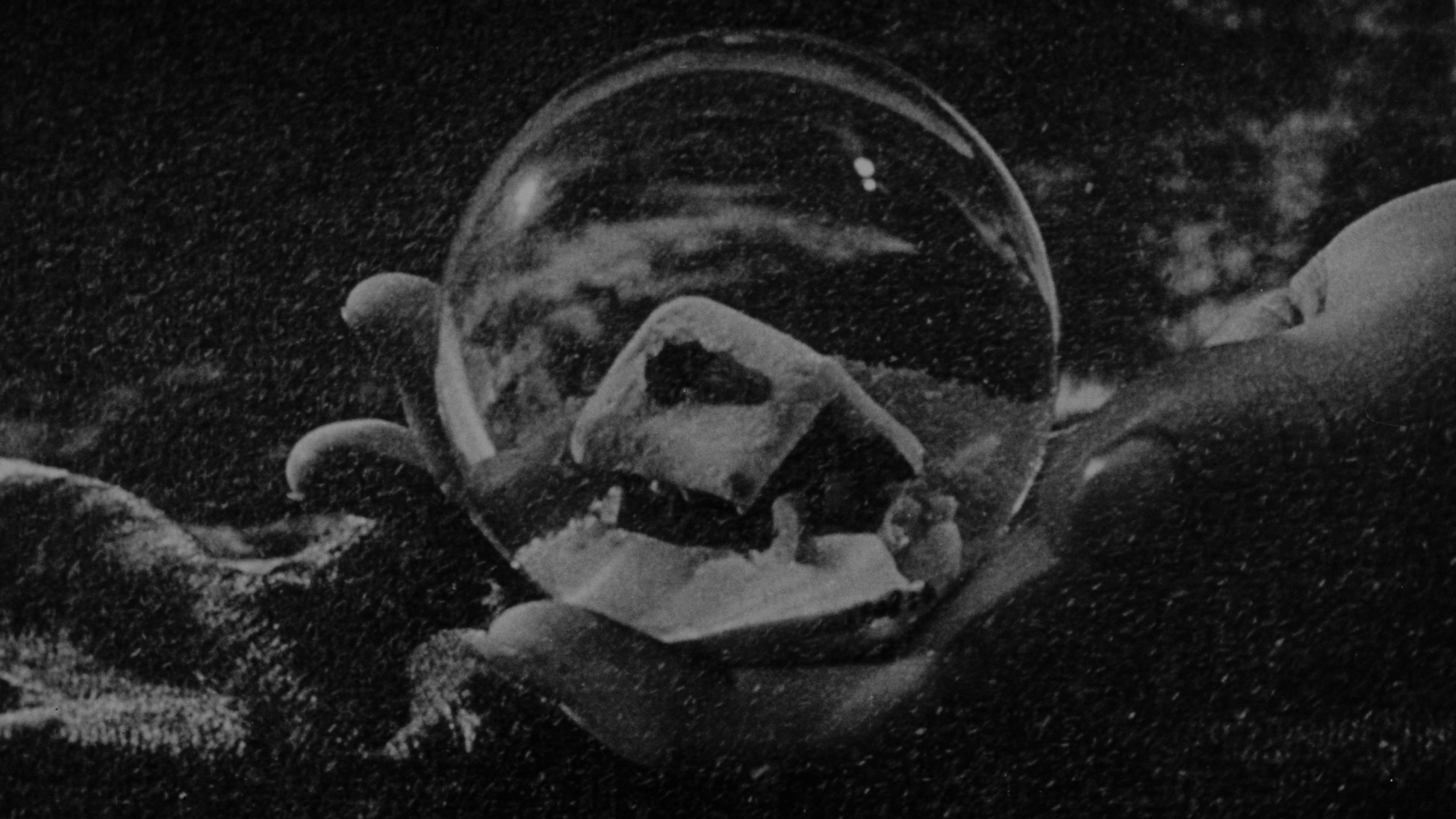 Citizen Kane (1941)