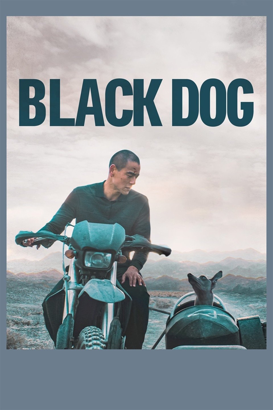 Black Dog