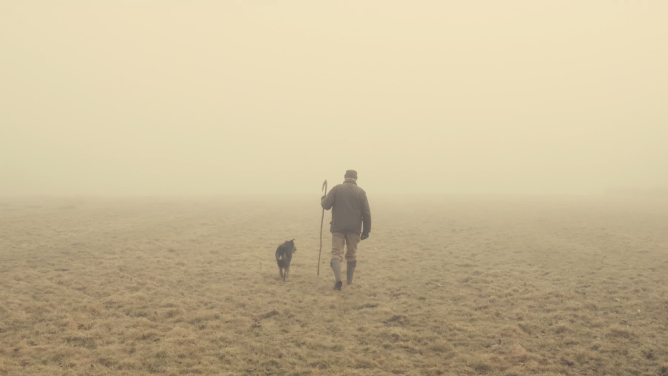 The Old Man and the Land (2024)