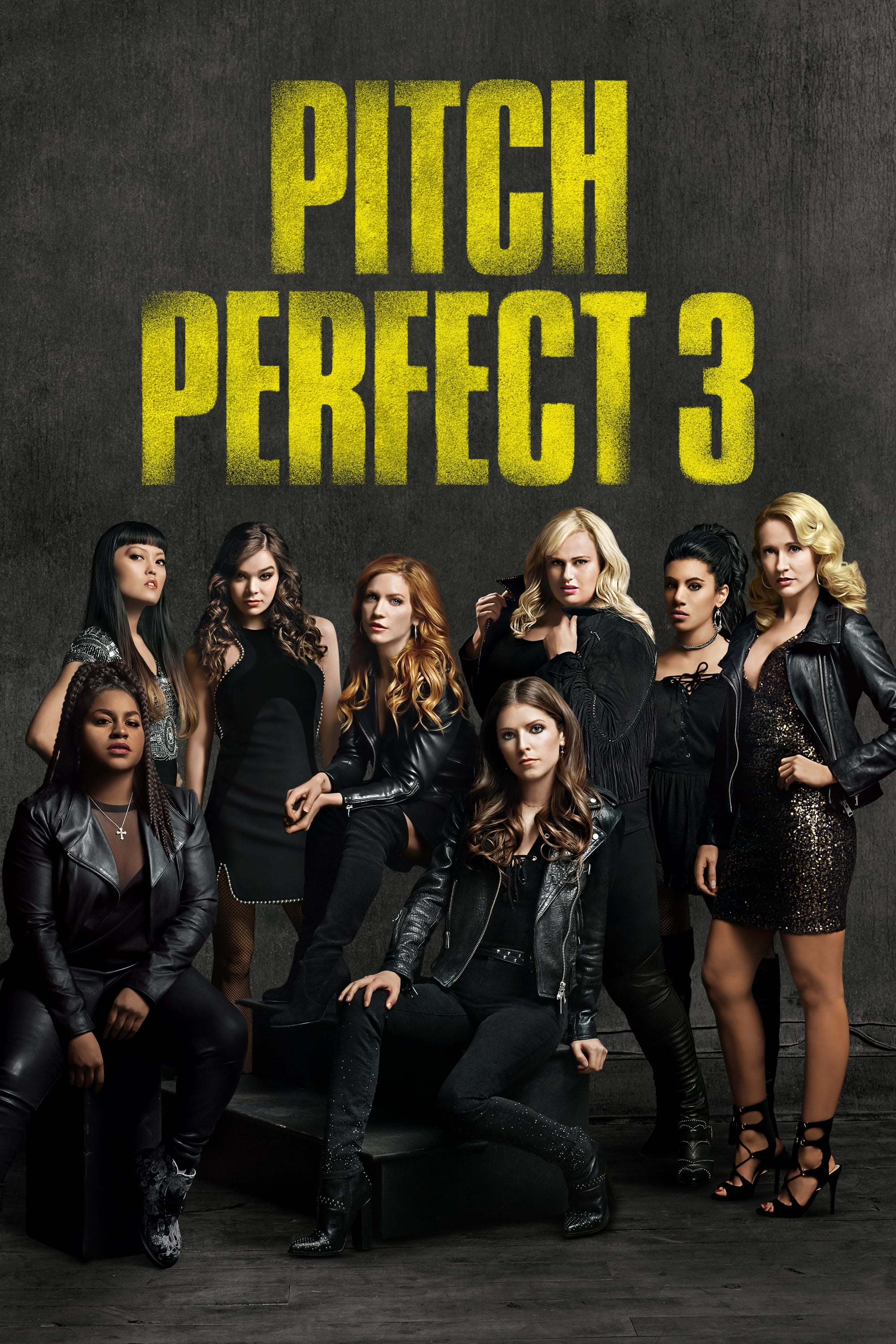 Aukšta klasė 3 / Pitch Perfect 3 (2017)