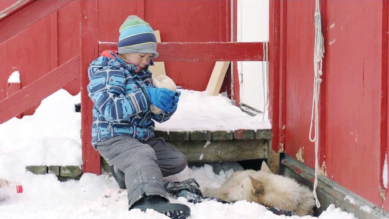 Une Année Polaire (2018)