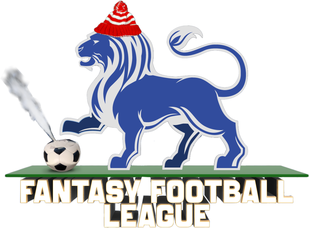 Fantasy Football League