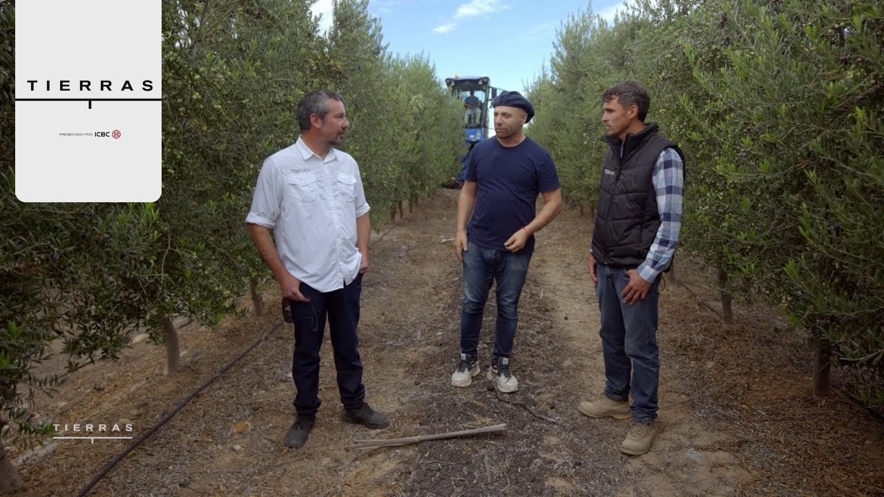 Episode 6
