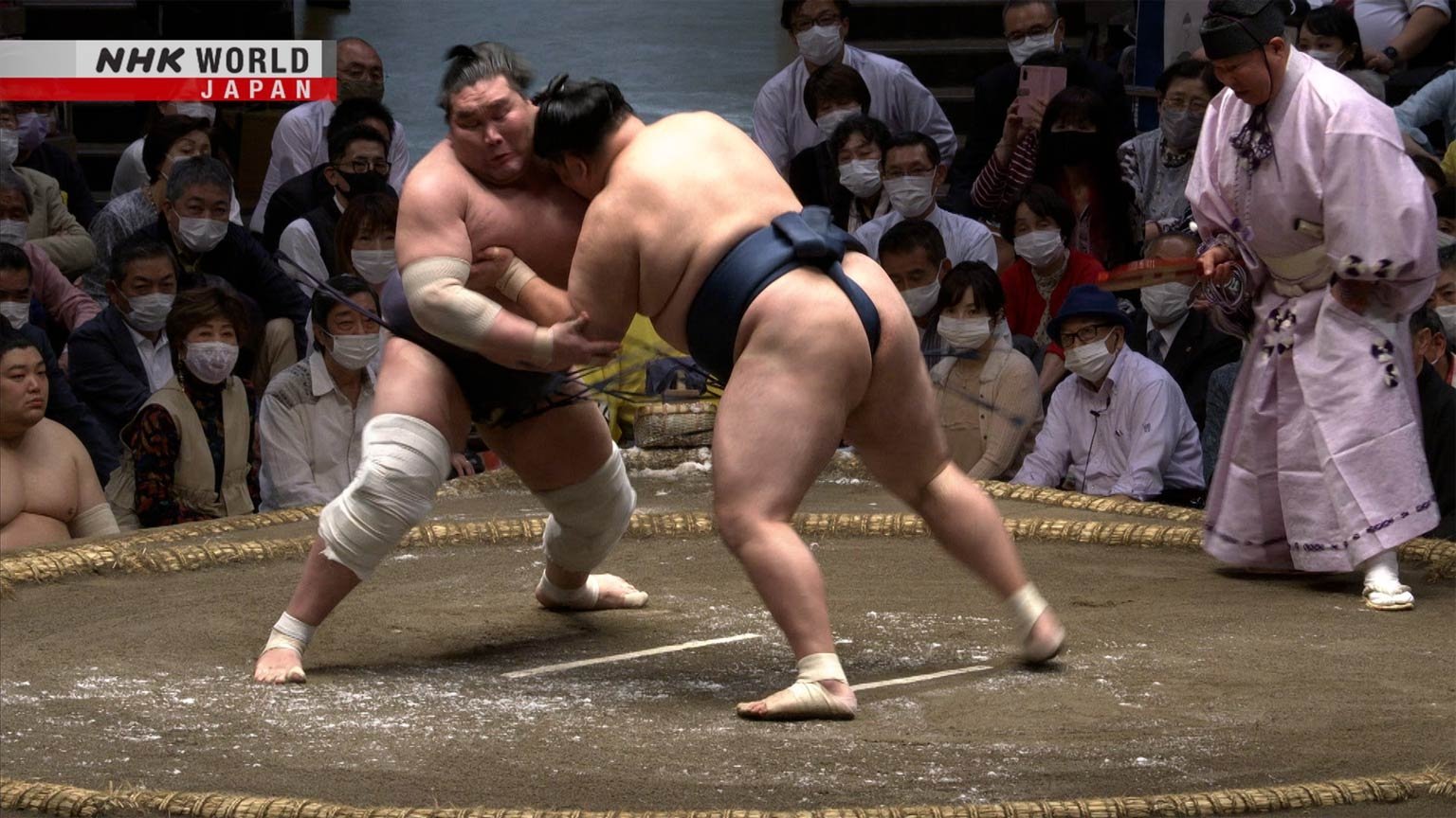 GRAND SUMO Highlights Season 11 :Episode 6  Day 6