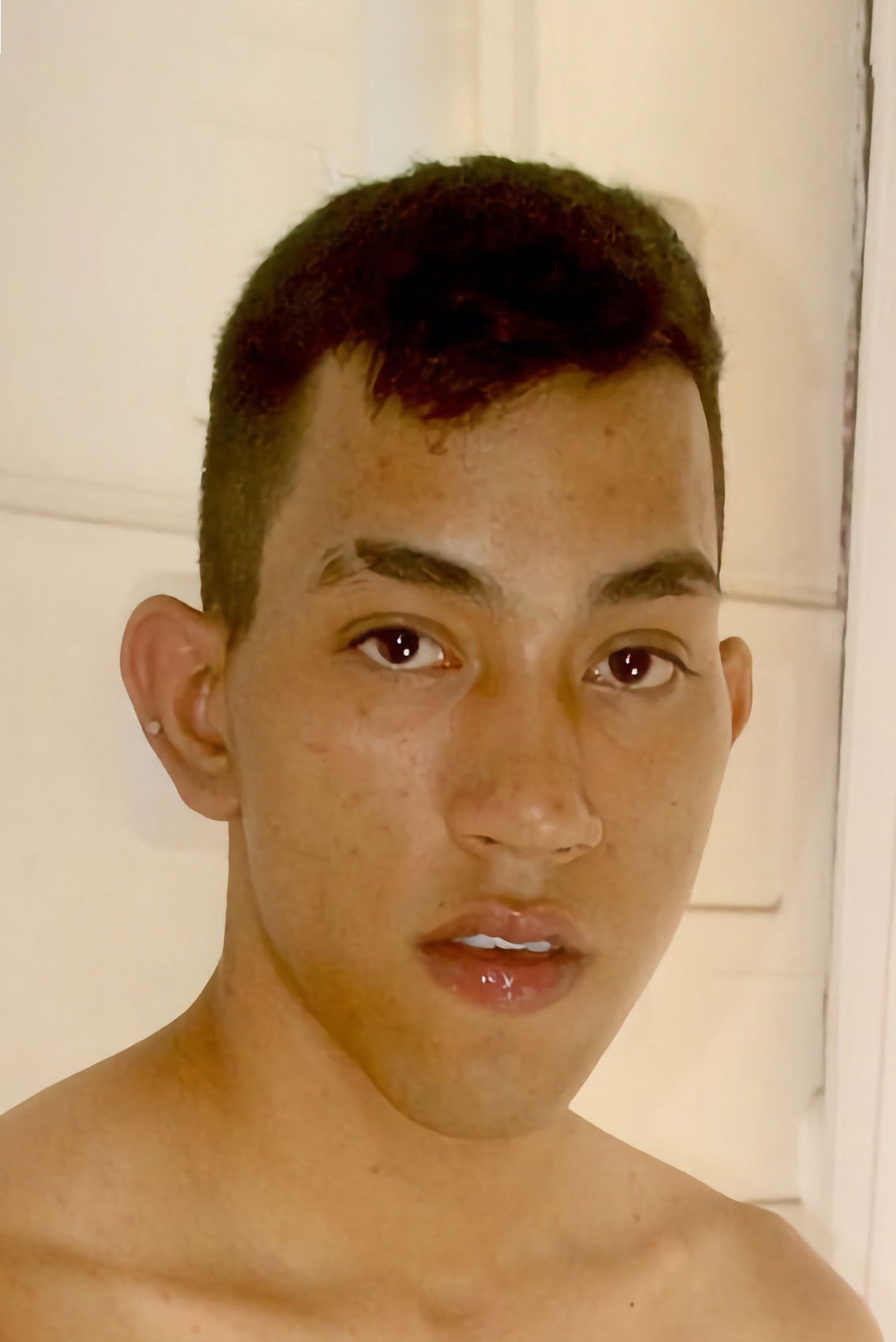 et billede af Toro Bravo