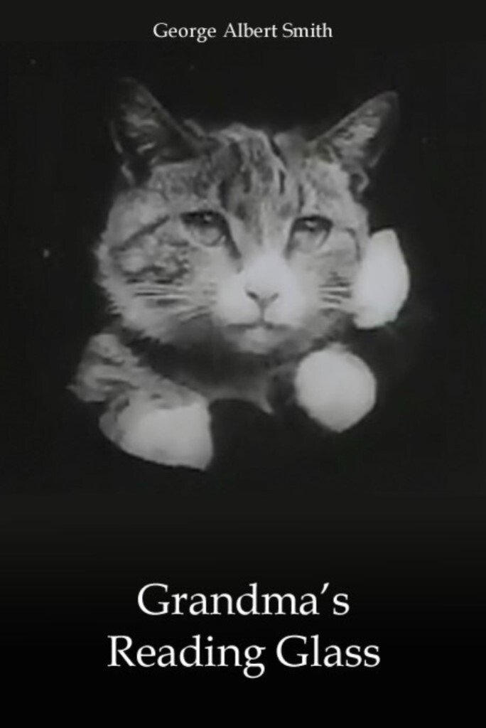 Grandma's Reading Glass