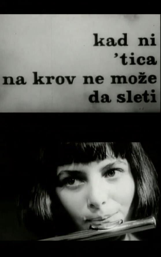 Poster for When Not Even a Bird Can Land on a Roof