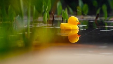 Wie is de Mol? - Épisode 4