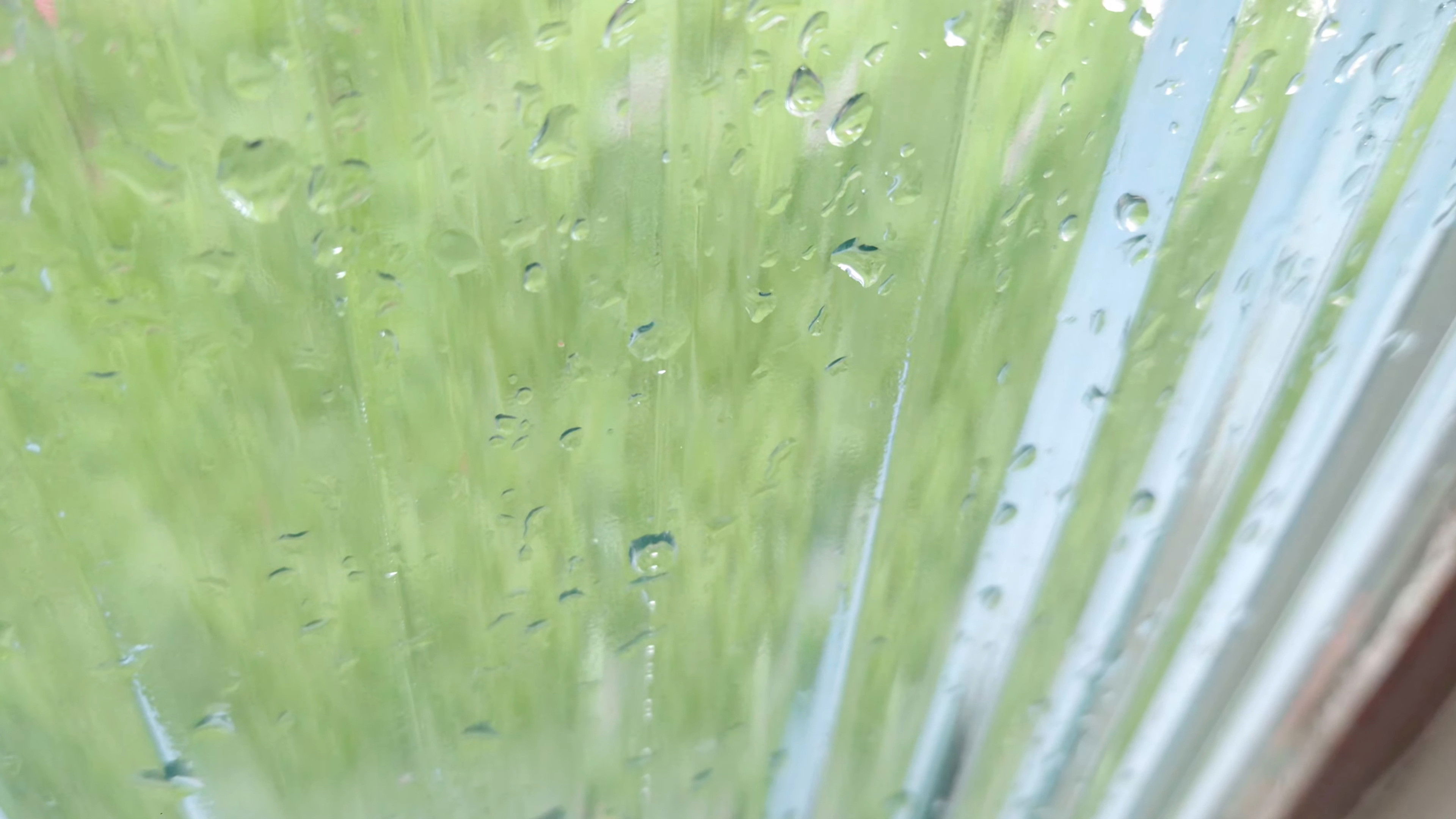 it rains on a saturday Background