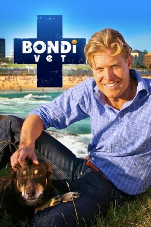 Bondi Vet Poster