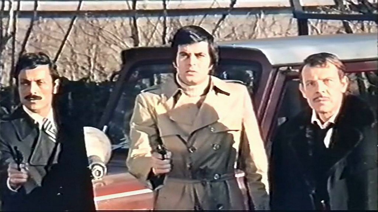 The Girlfriend (1977)