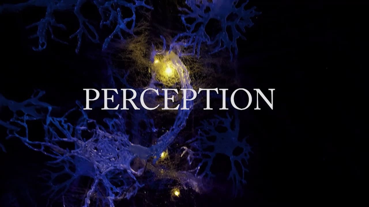 Perception