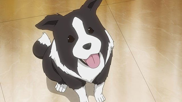 Episode 14