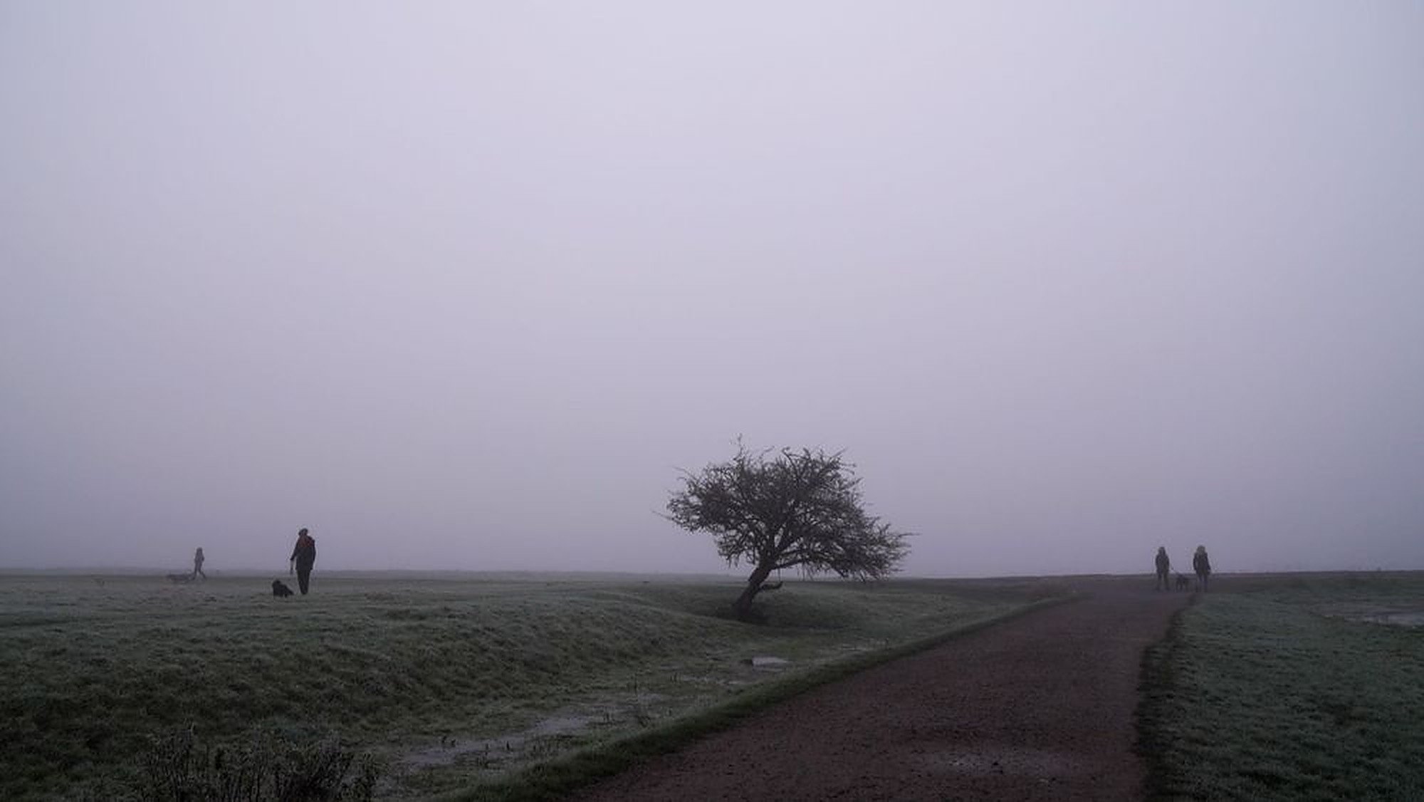 Port Meadow (2022)