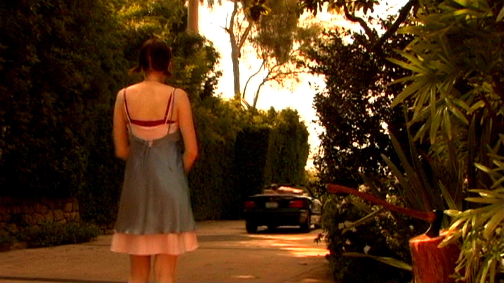 The Son of Sam's Daughter (2007)