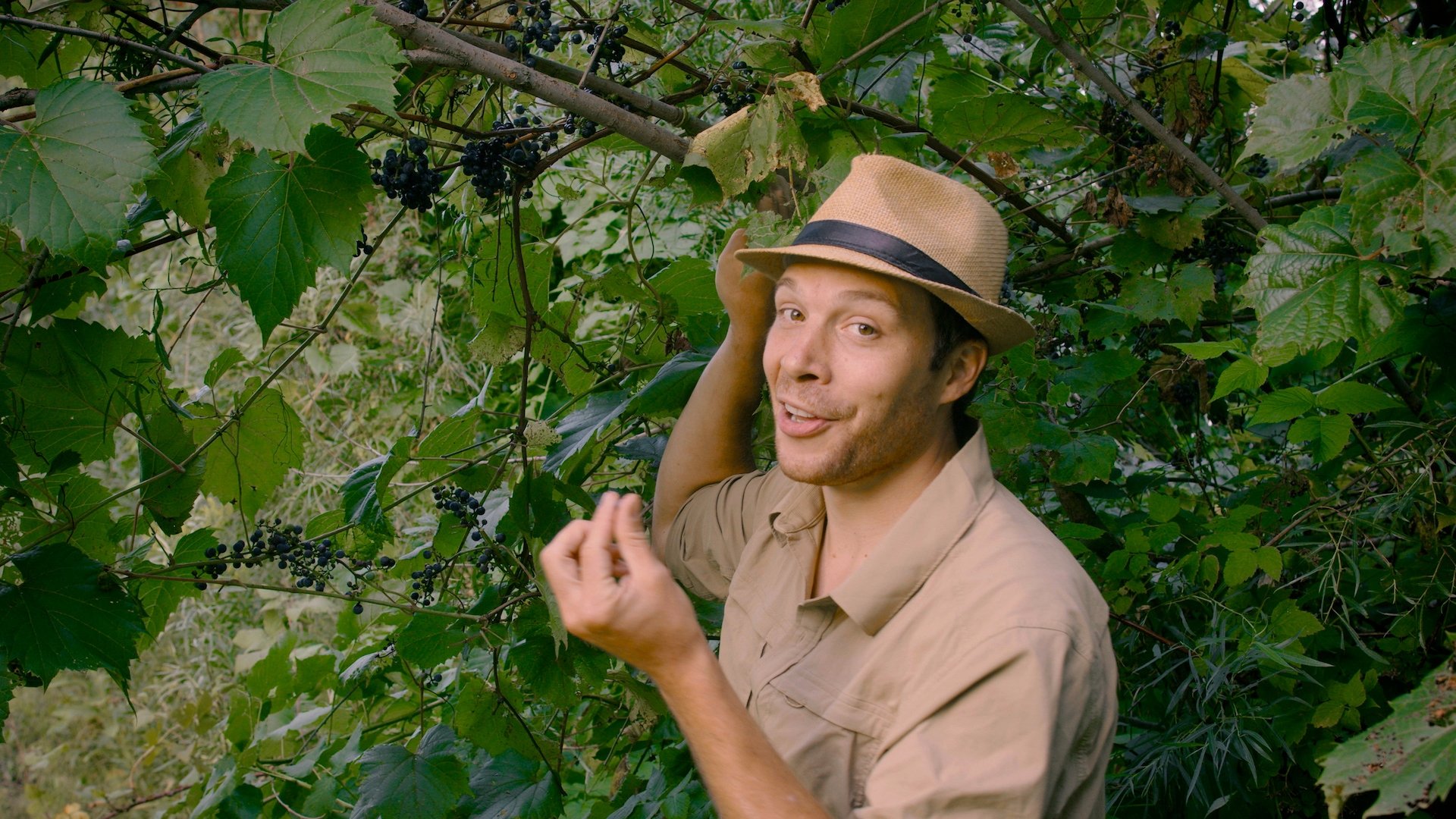 Thumbnail for Fall Foraging Season 1 Episode 3
