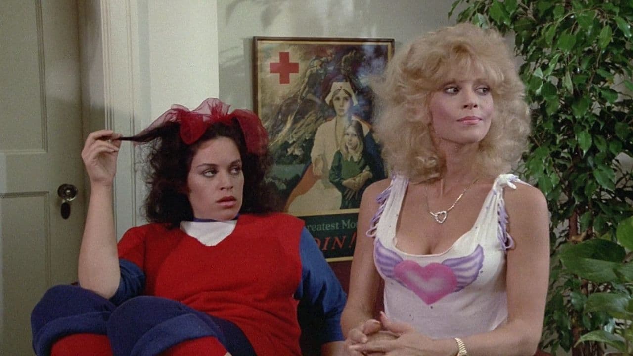 Stewardess School (1986)