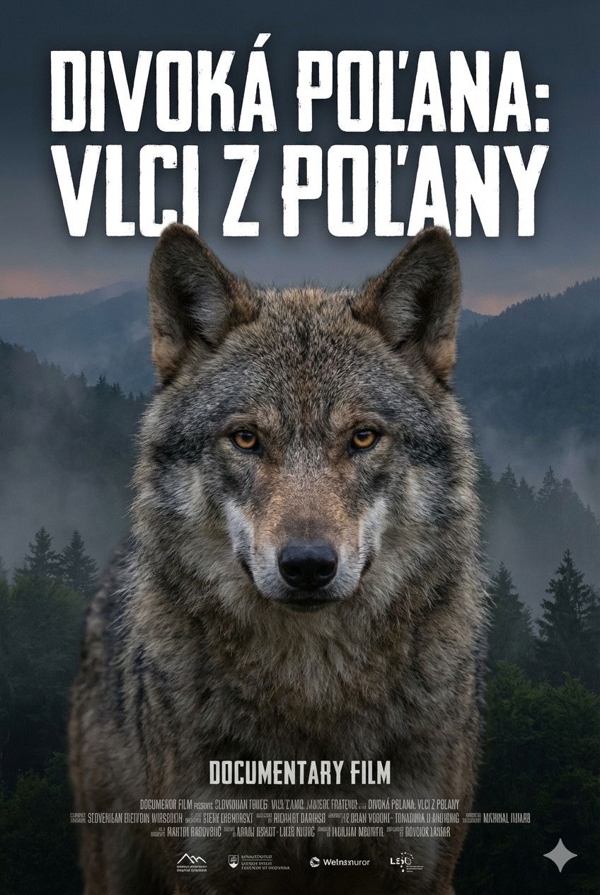 Divoká Poľana: Vlci z Poľany