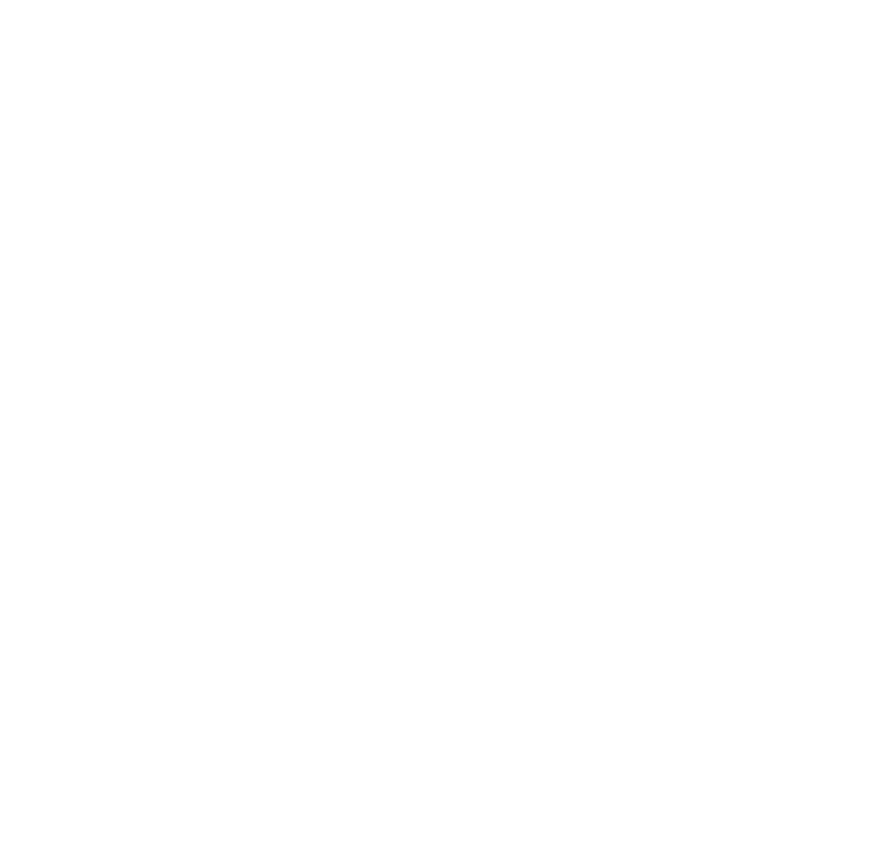 She's Too Young Logo