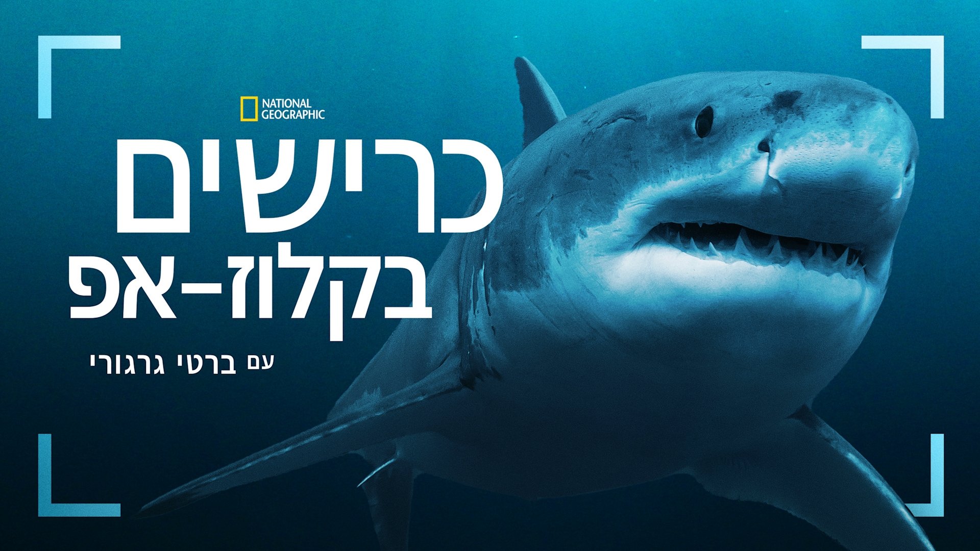 Sharks Up Close with Bertie Gregory backdrop