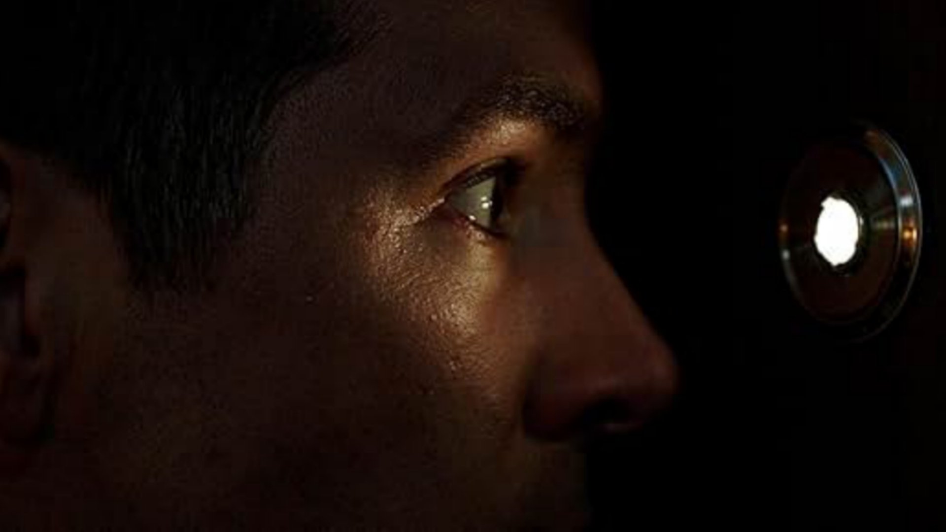 The Voices (2014)