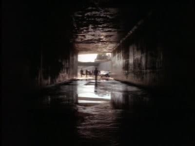 Alien Nation