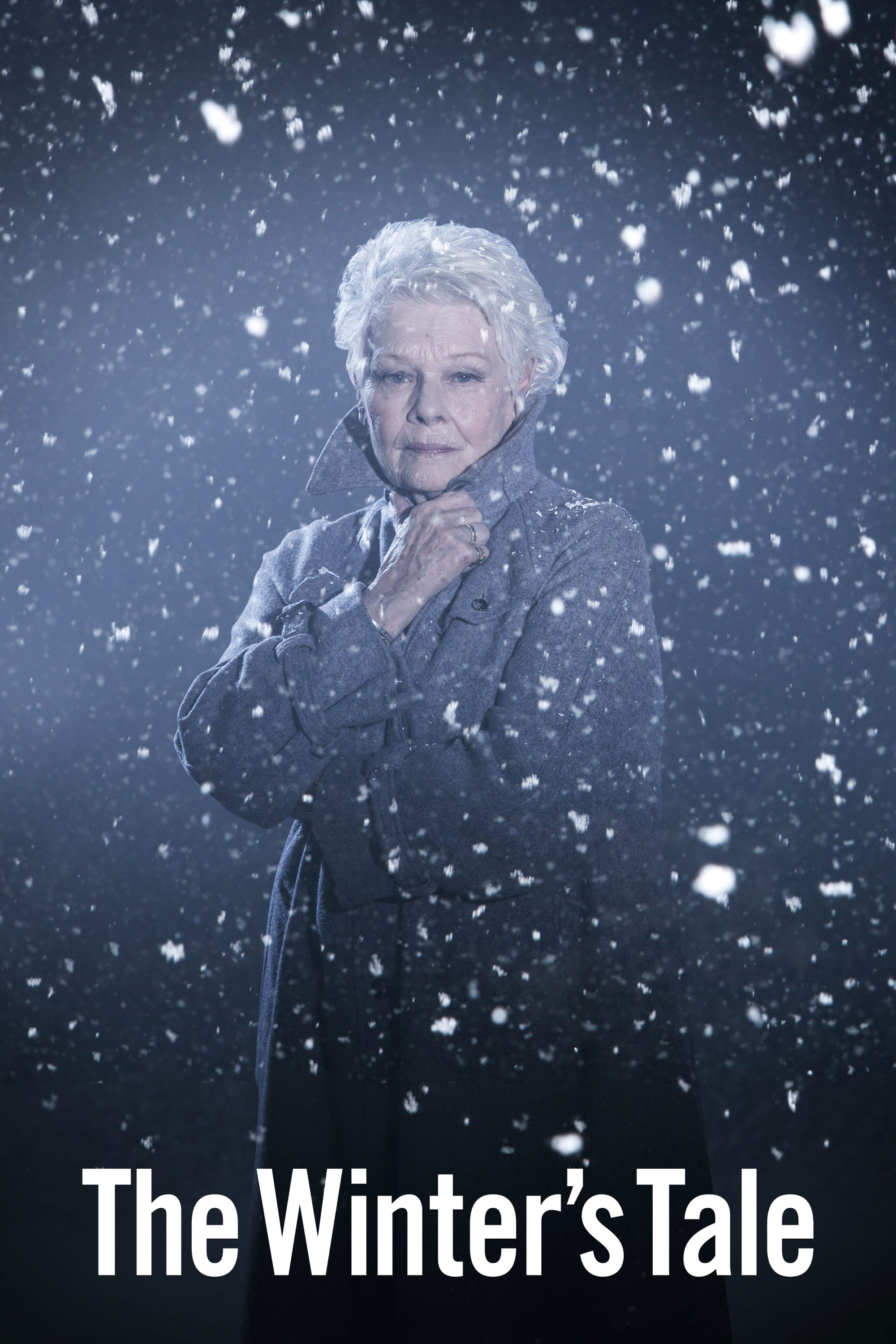 Branagh Theatre Live: The Winter's Tale (2015) movie poster