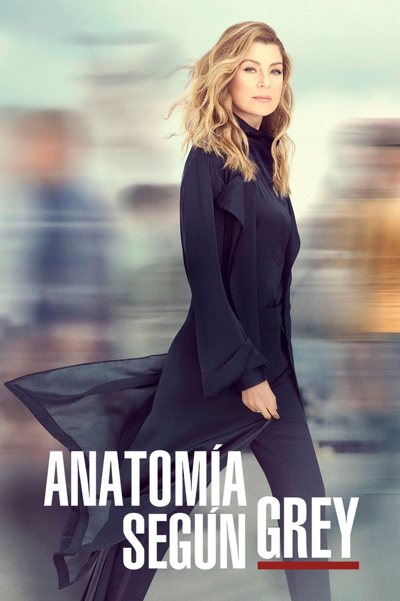 Poster de Anatomía según Grey