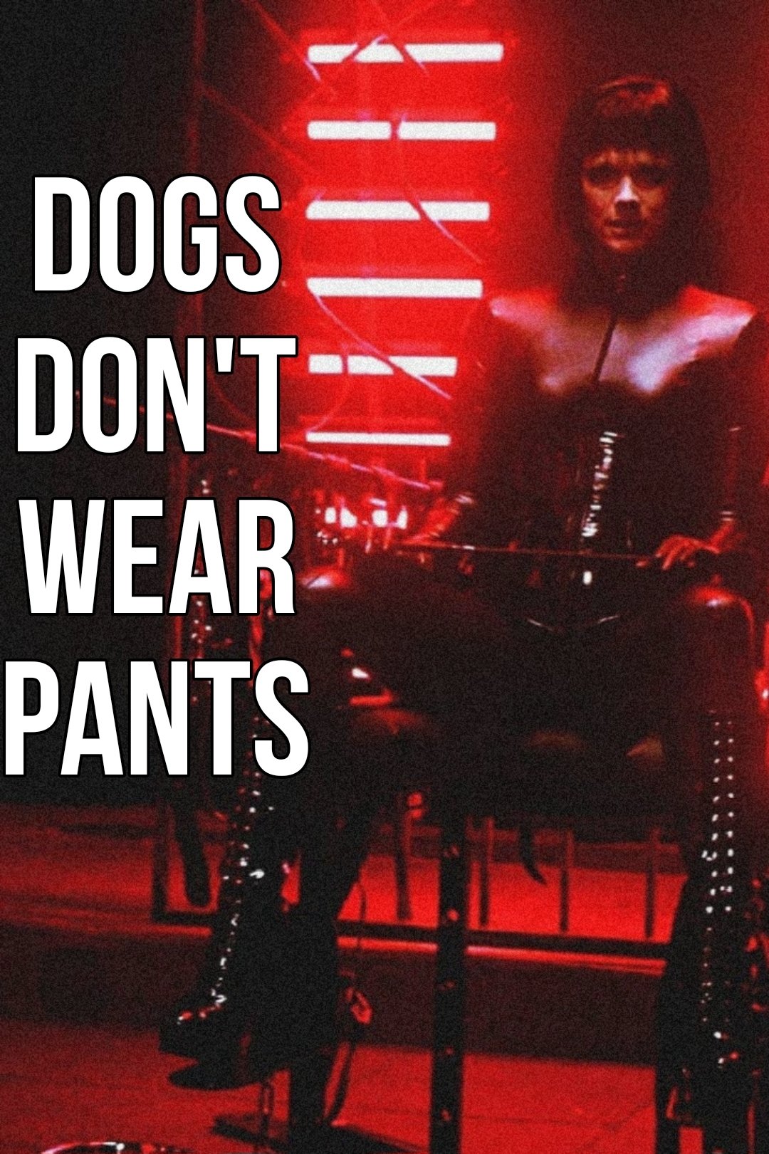 Dogs Don't Wear Pants
