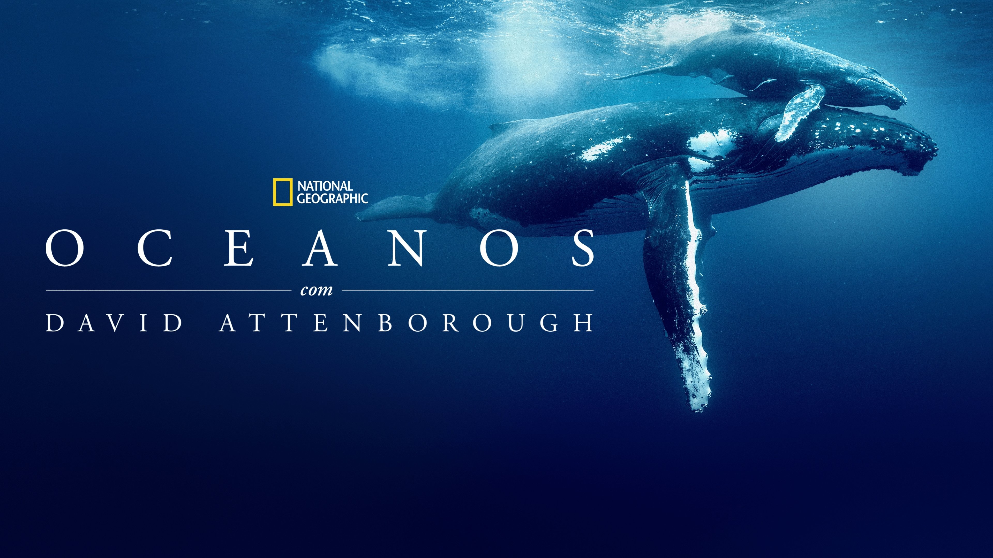 Ocean with David Attenborough backdrop
