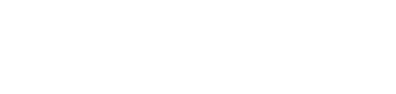 Los siete magníficos