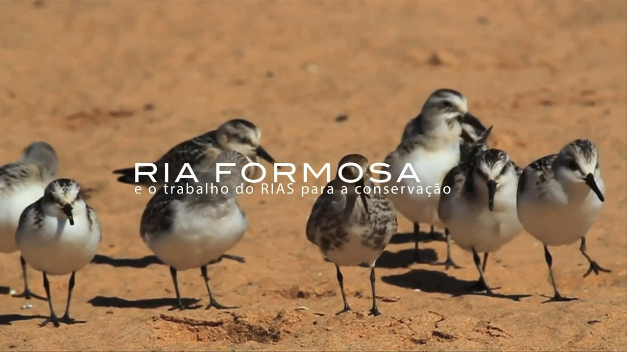 Ria Formosa e o Trabalho do RIAS para a Conservação