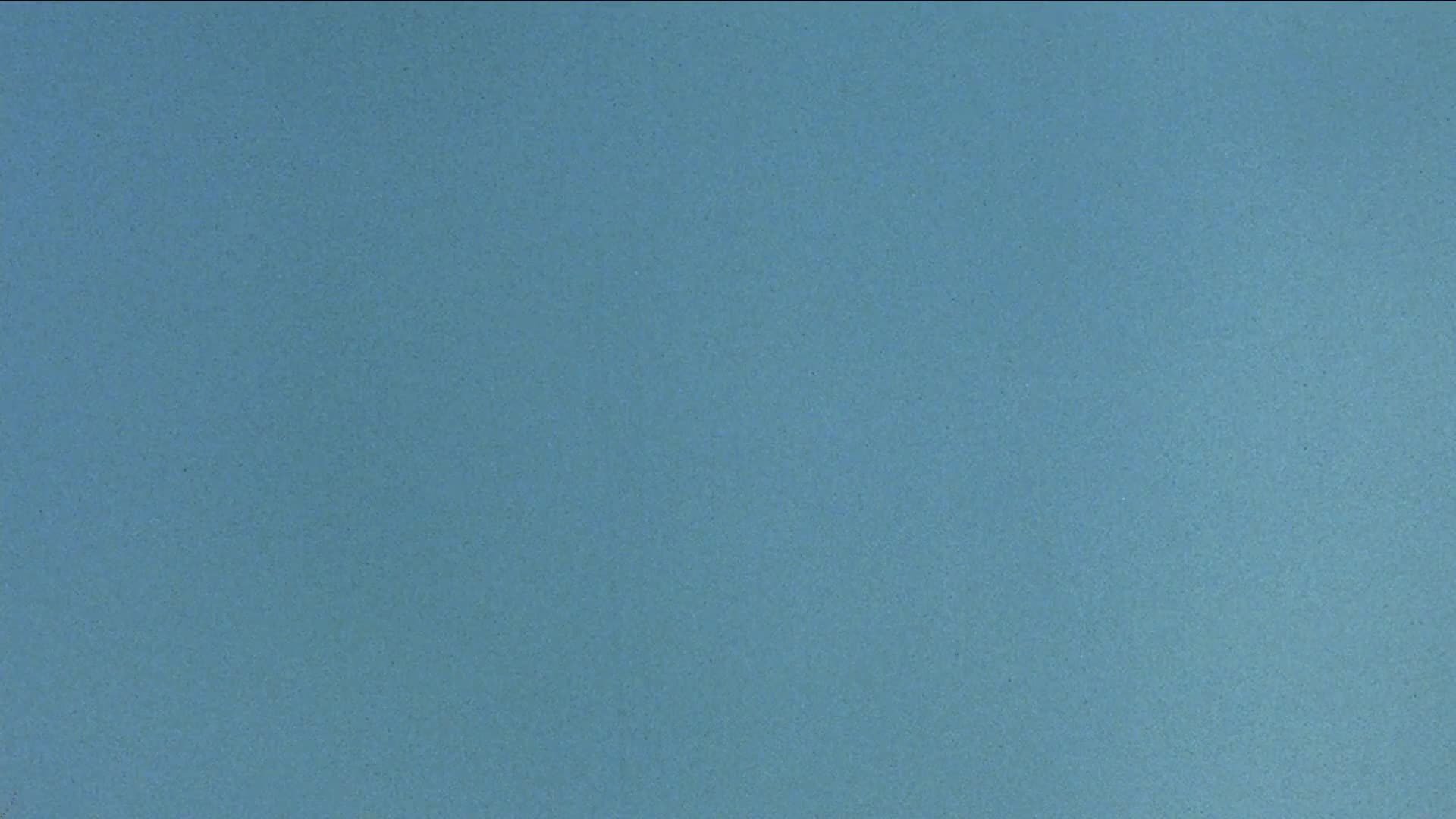 The Flying Nun