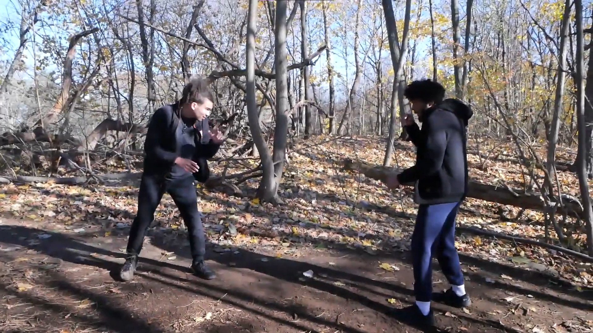 Step-Punch | ACT ONE: WOODS (2022)