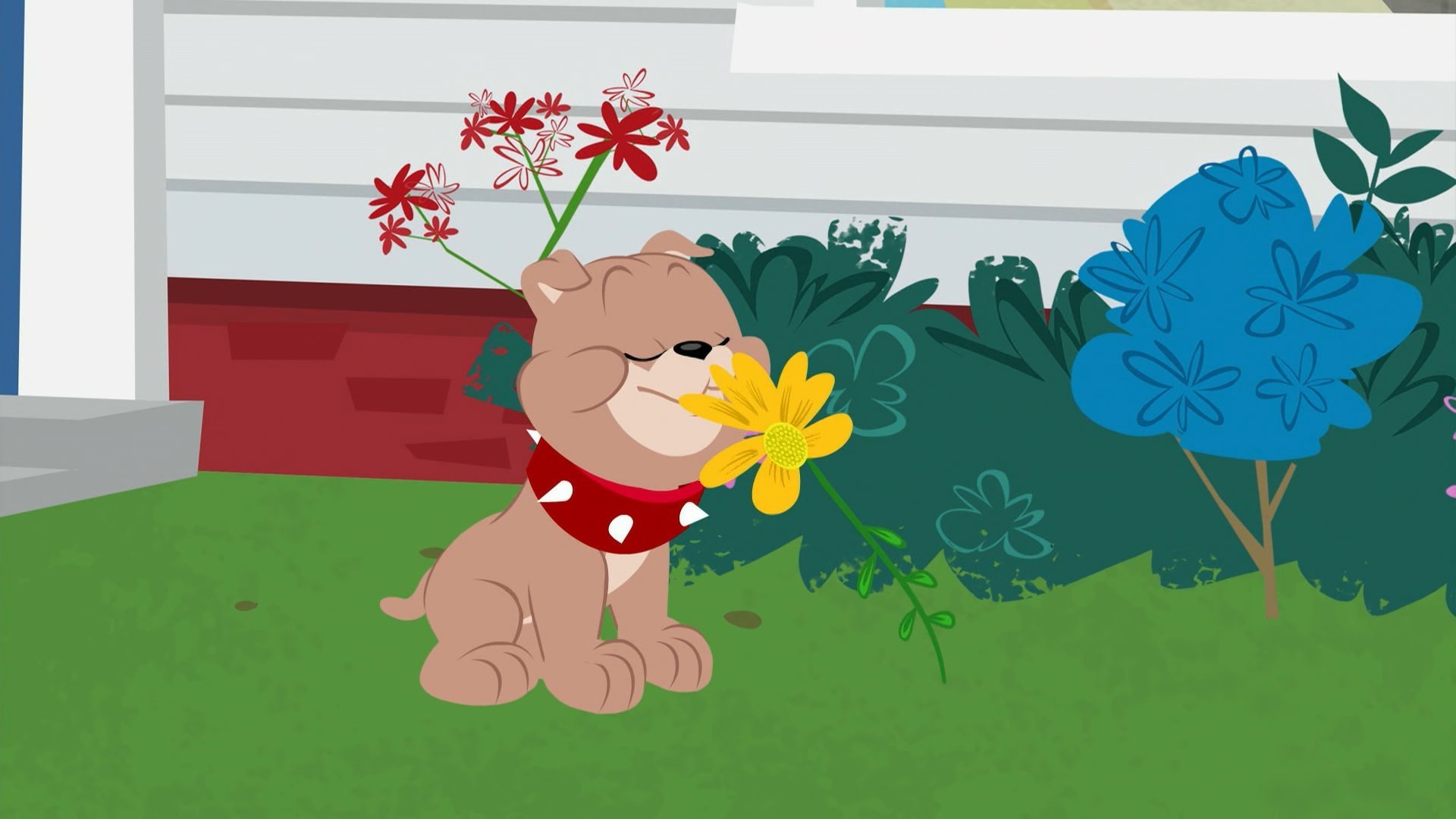 The Tom and Jerry Show