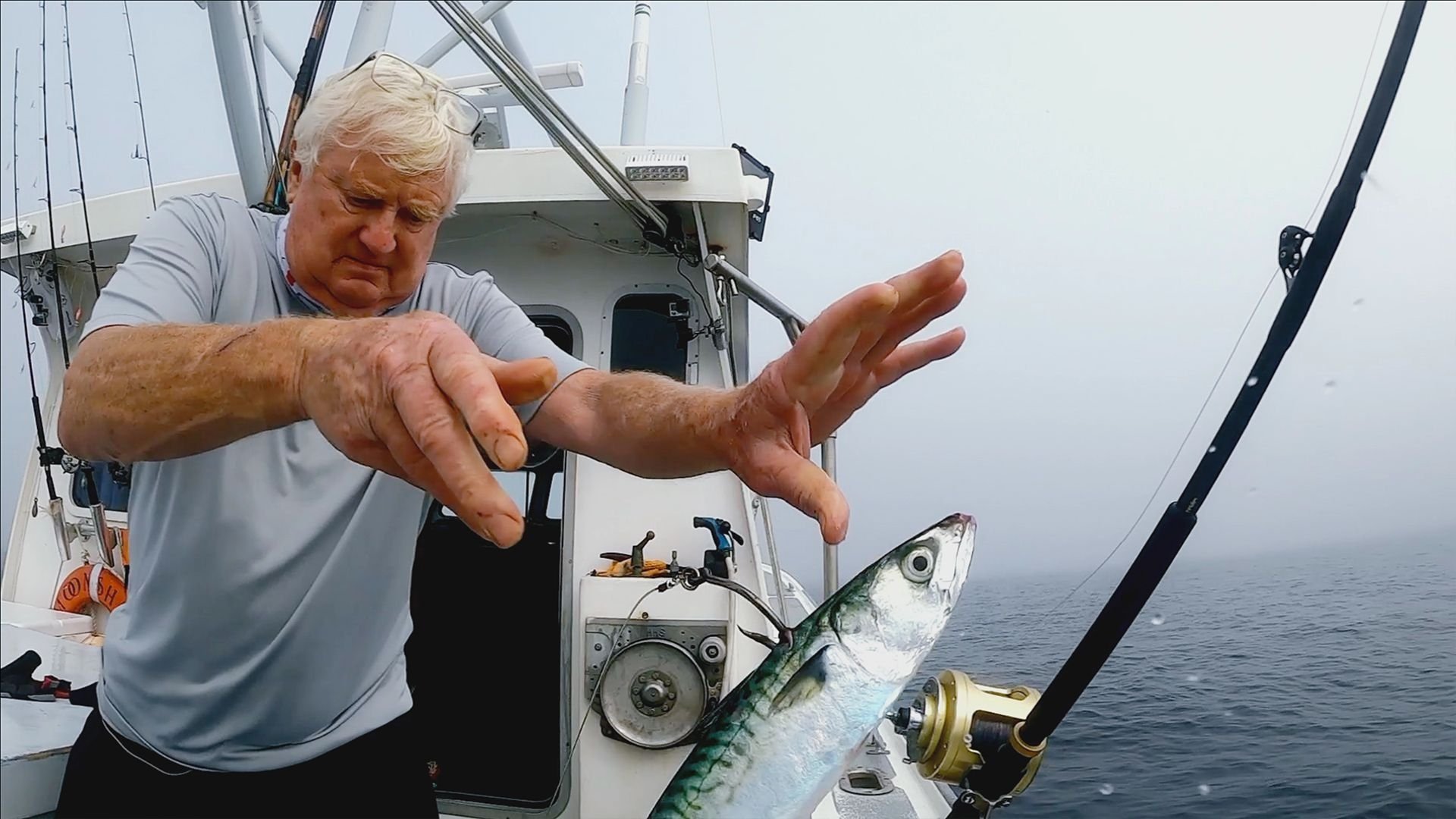 Wicked Tuna