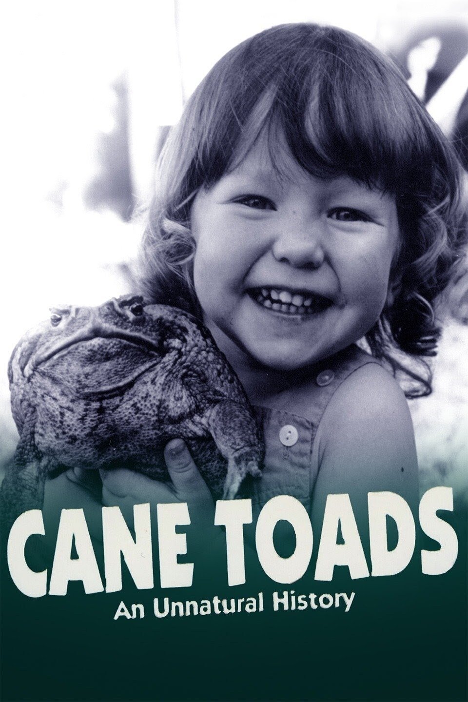 Cane Toads: An Unnatural History