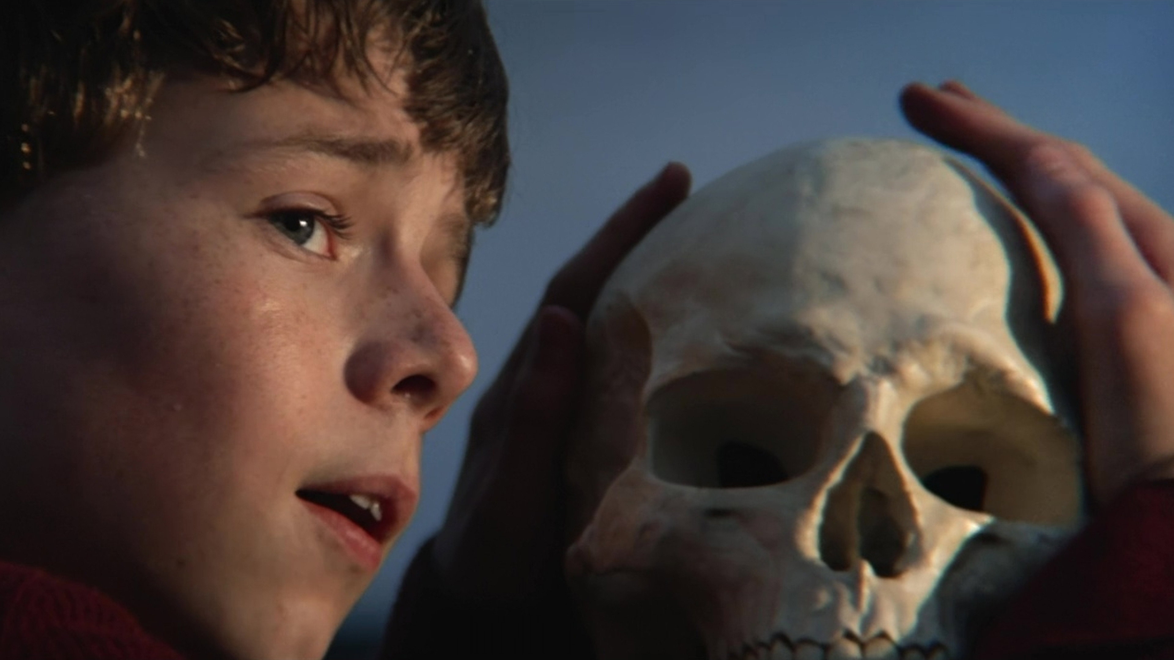 28 Years Later backdrop