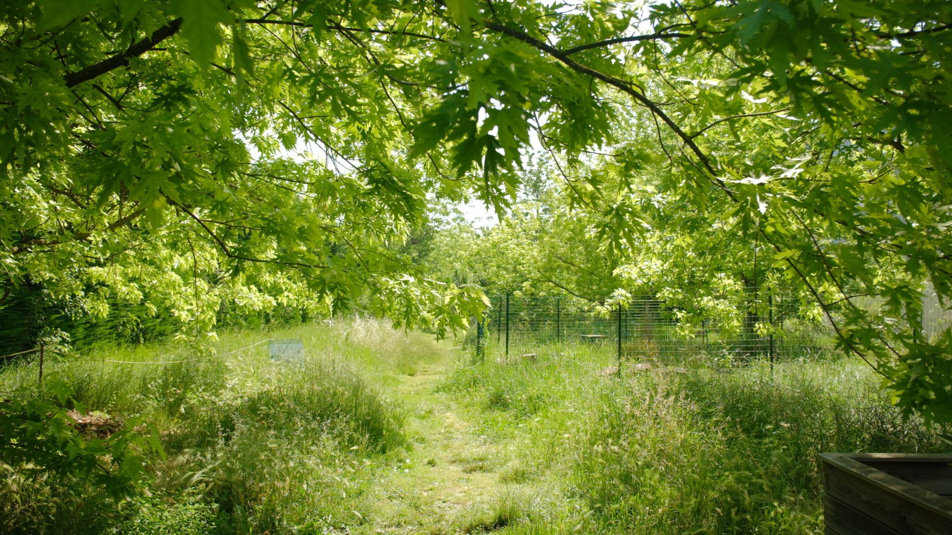La Picasso Food Forest