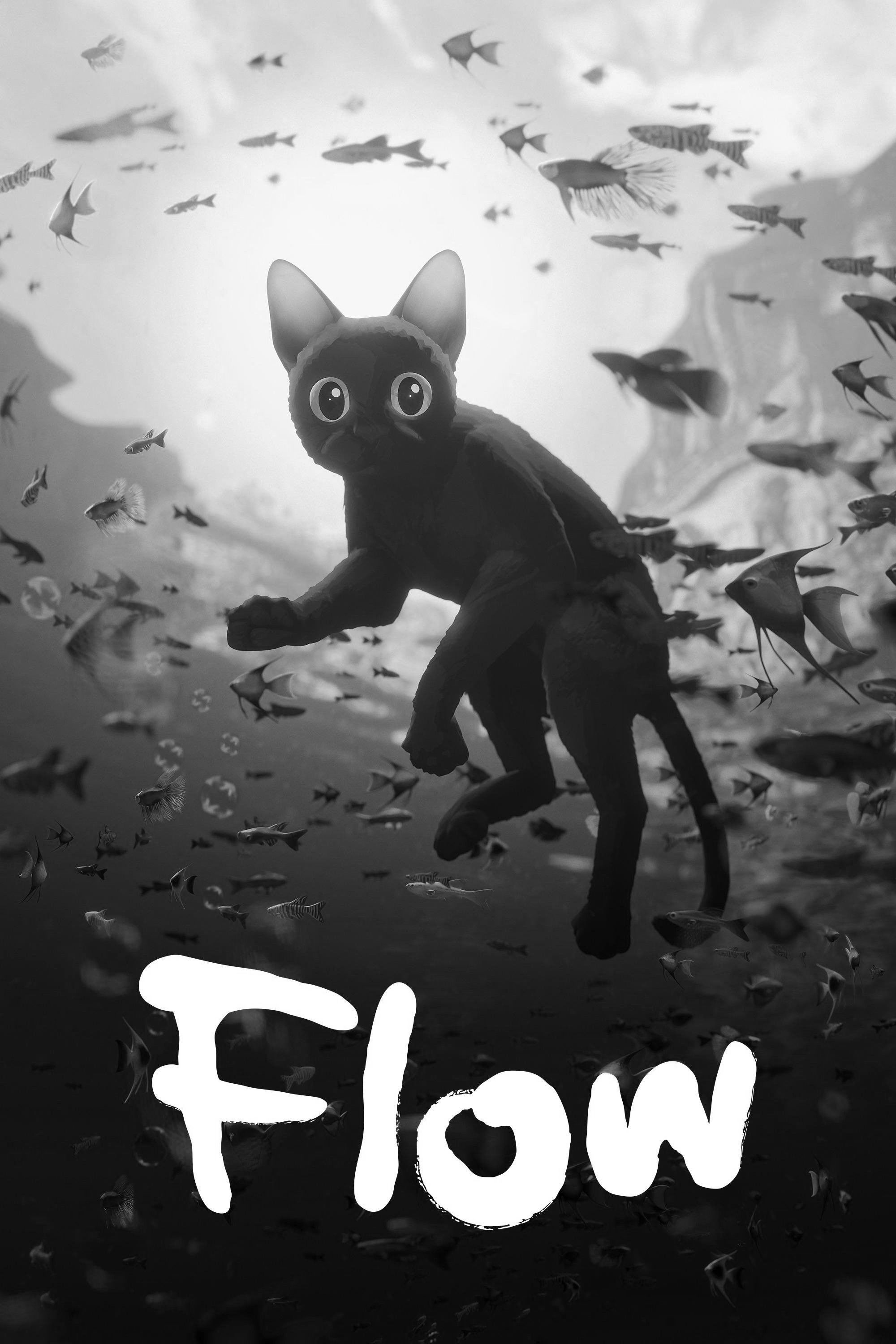 Flow