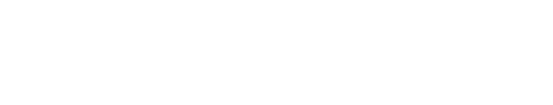 The Spirit Logo