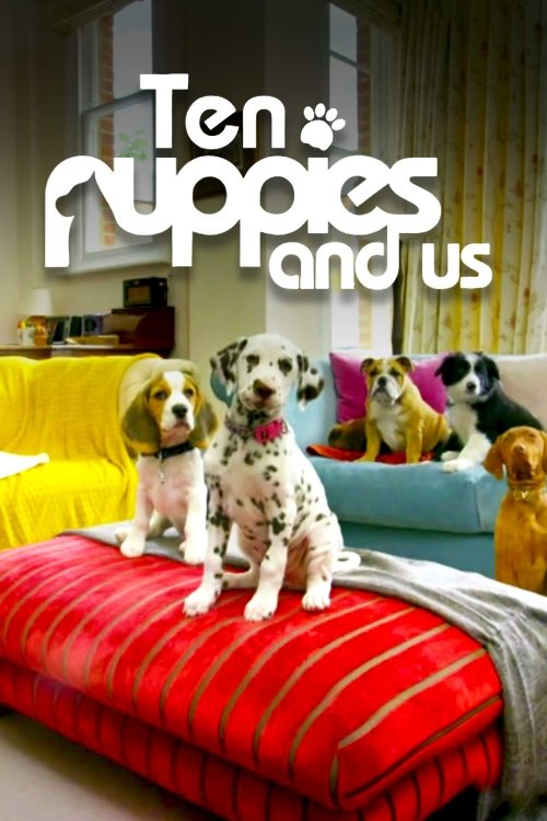 10 Puppies and Us - Season 1