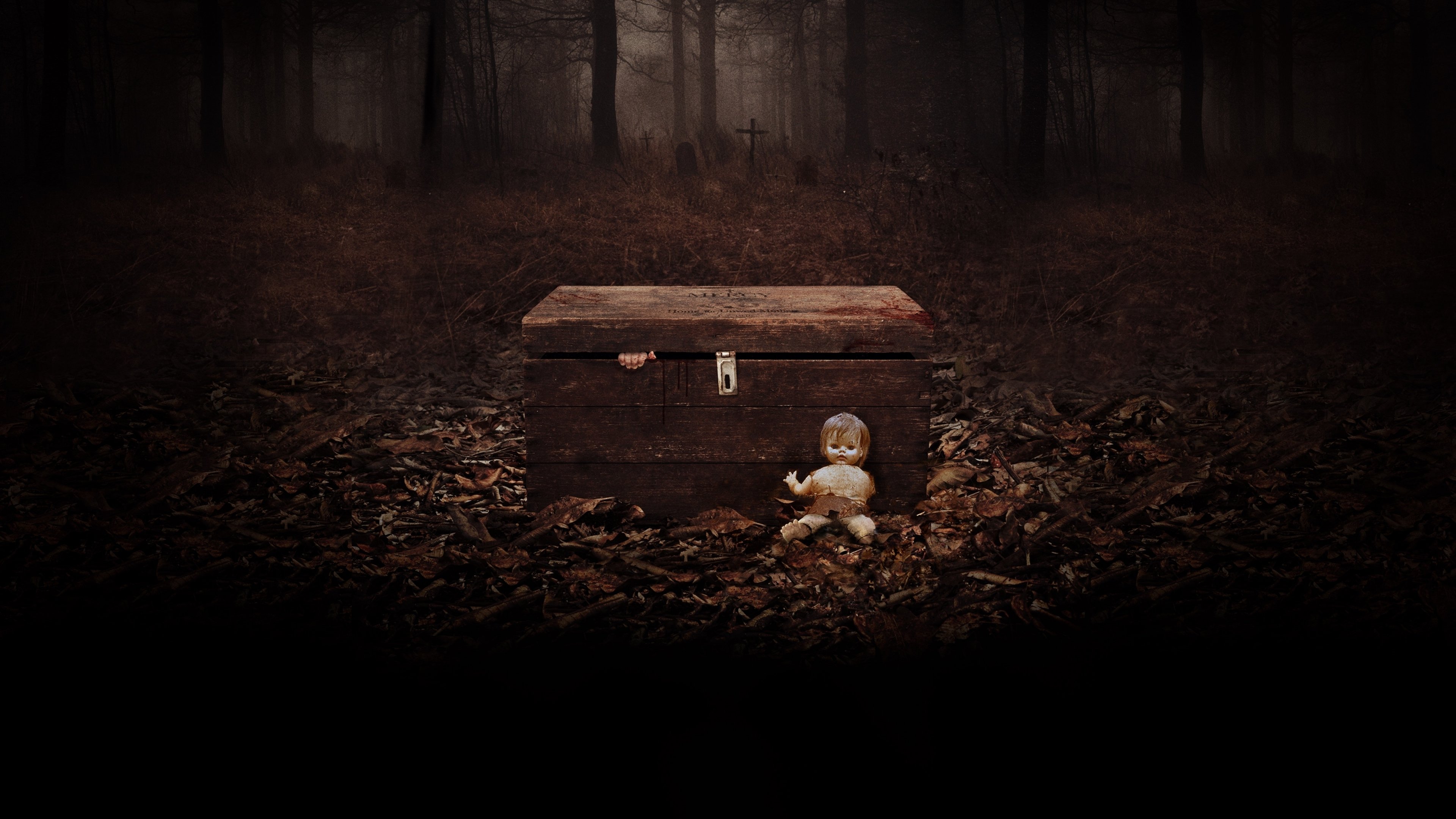 The Child Remains (2017)