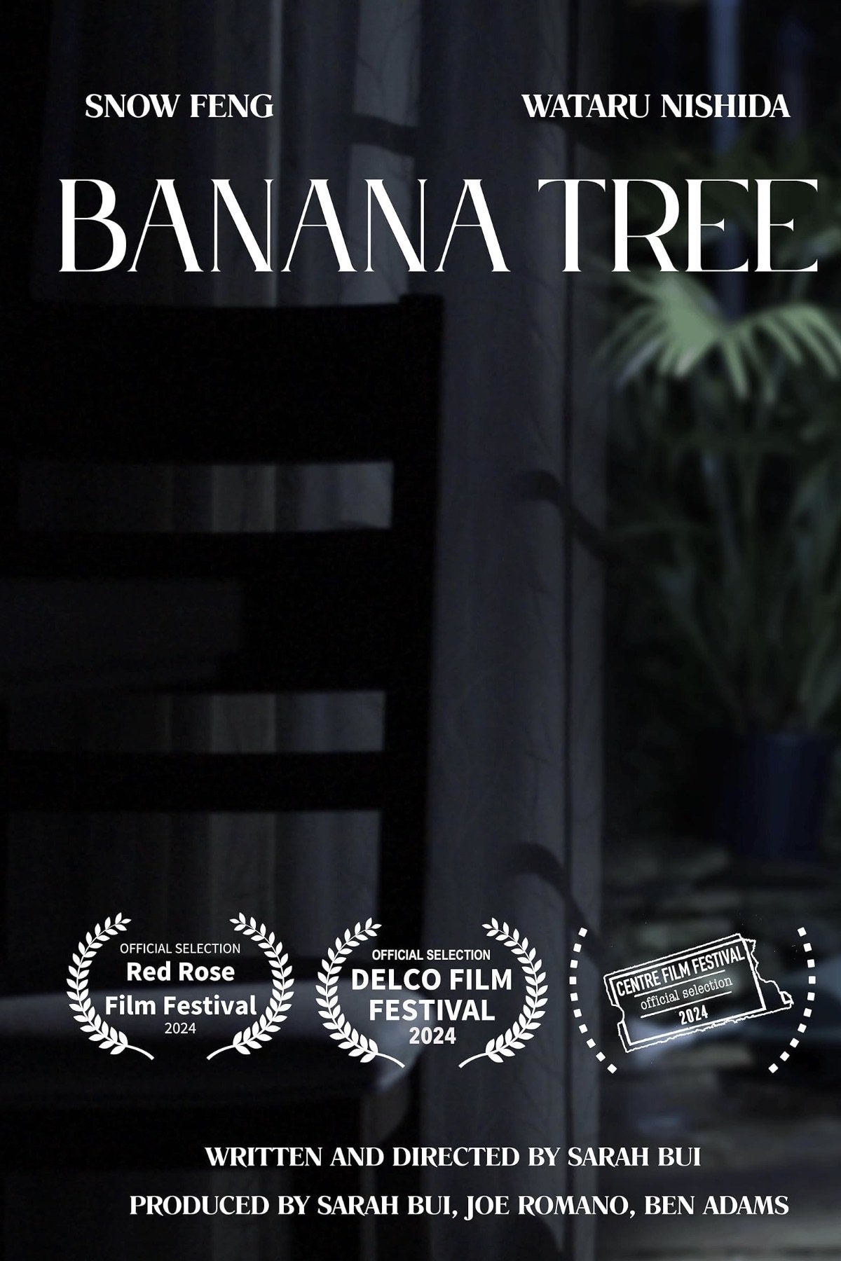Banana Tree Banana Tree