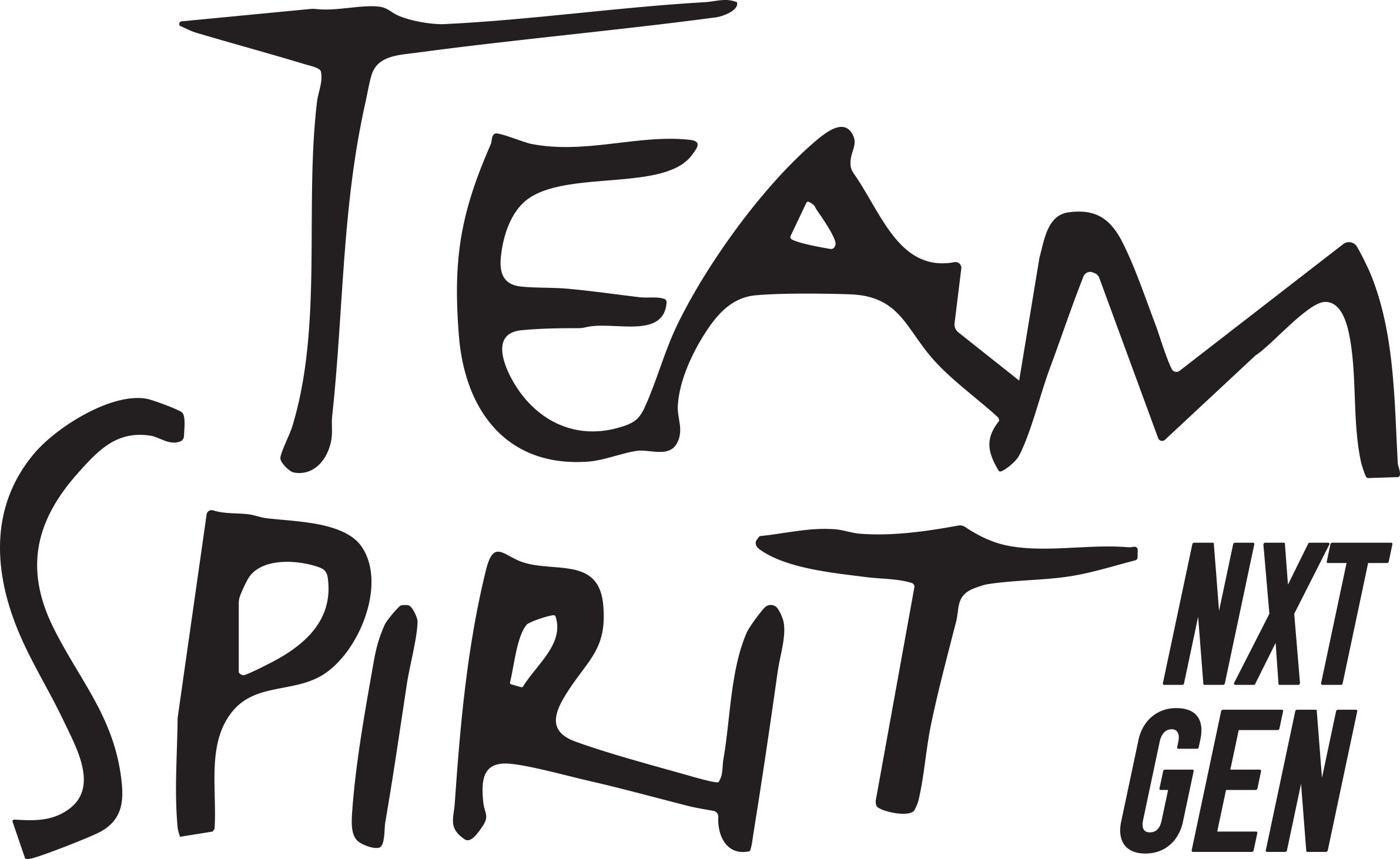 Team Spirit NXT GEN