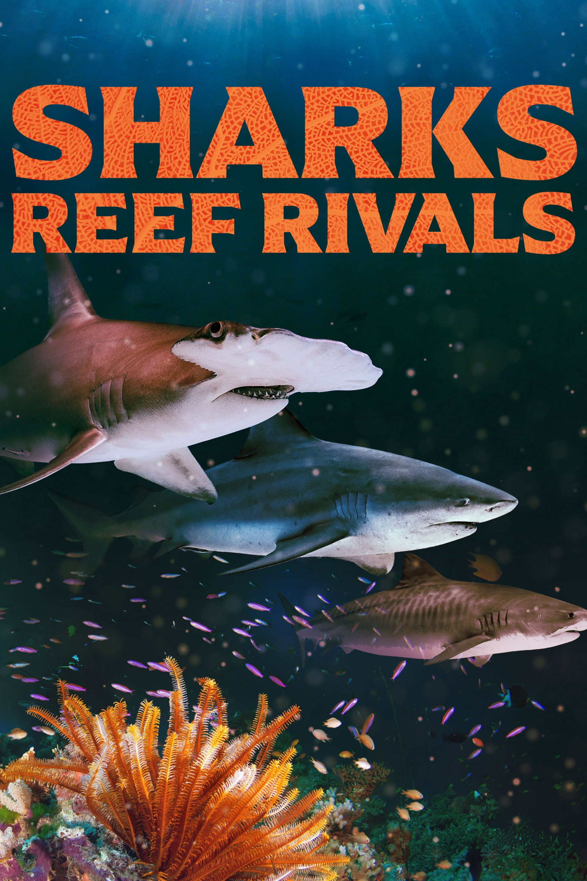 Sharks: Reef Rivals Poster