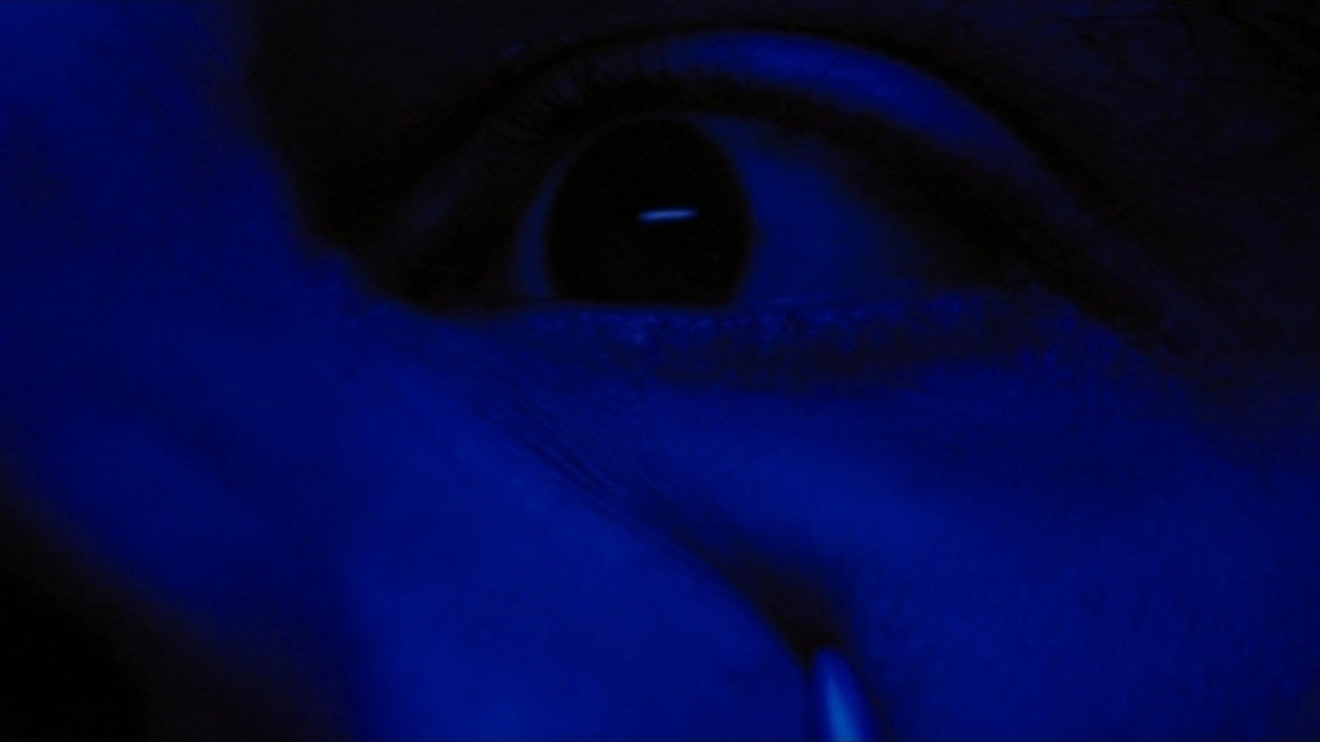 The Walker (2007)